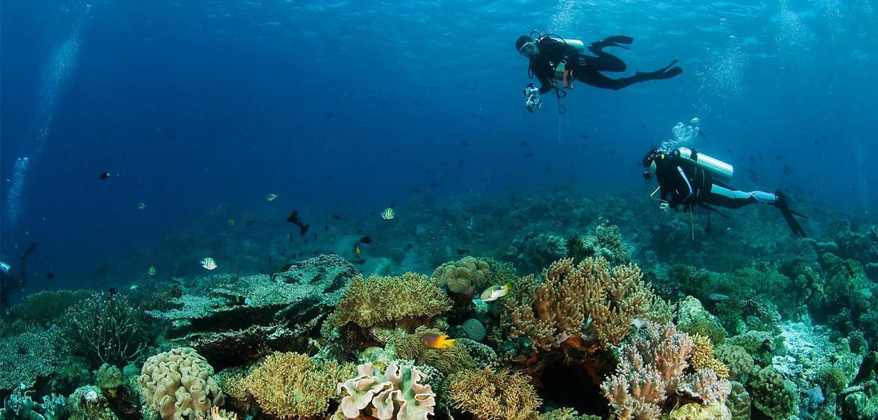 Hotel Sinar Harapan Tano Luaran gambar